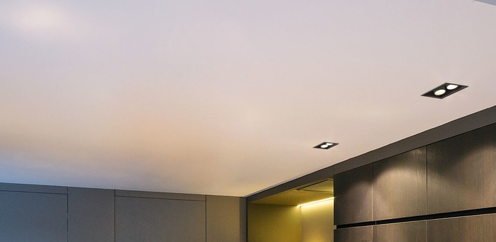 Weber & Ducre Hide